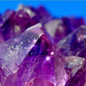 Shipping Label 🏷️💜